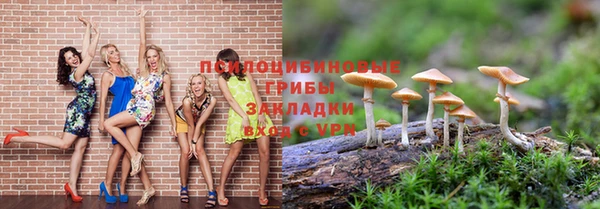 mix Вяземский
