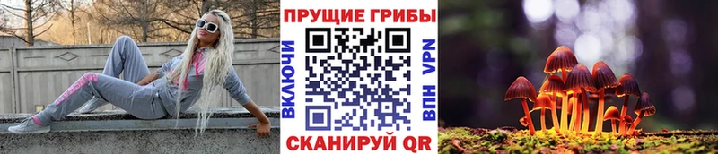 Галлюциногенные грибы Psilocybe  Минеральные Воды 