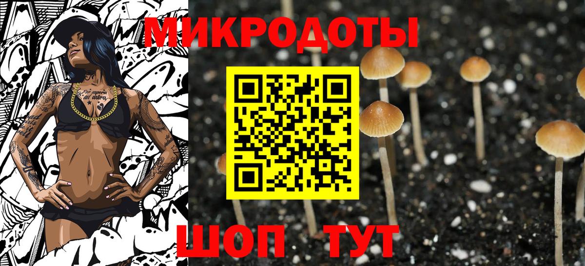 Галлюциногенные грибы MAGIC MUSHROOMS  Вход с VPN  Минеральные Воды  Галлюциногенные грибы прущие грибы 