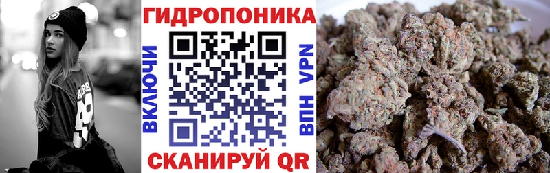 Бошки марихуана сатива  Минеральные Воды 